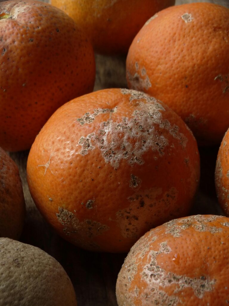 Kuidas toksilise tiimiliikmega hakkama saada?